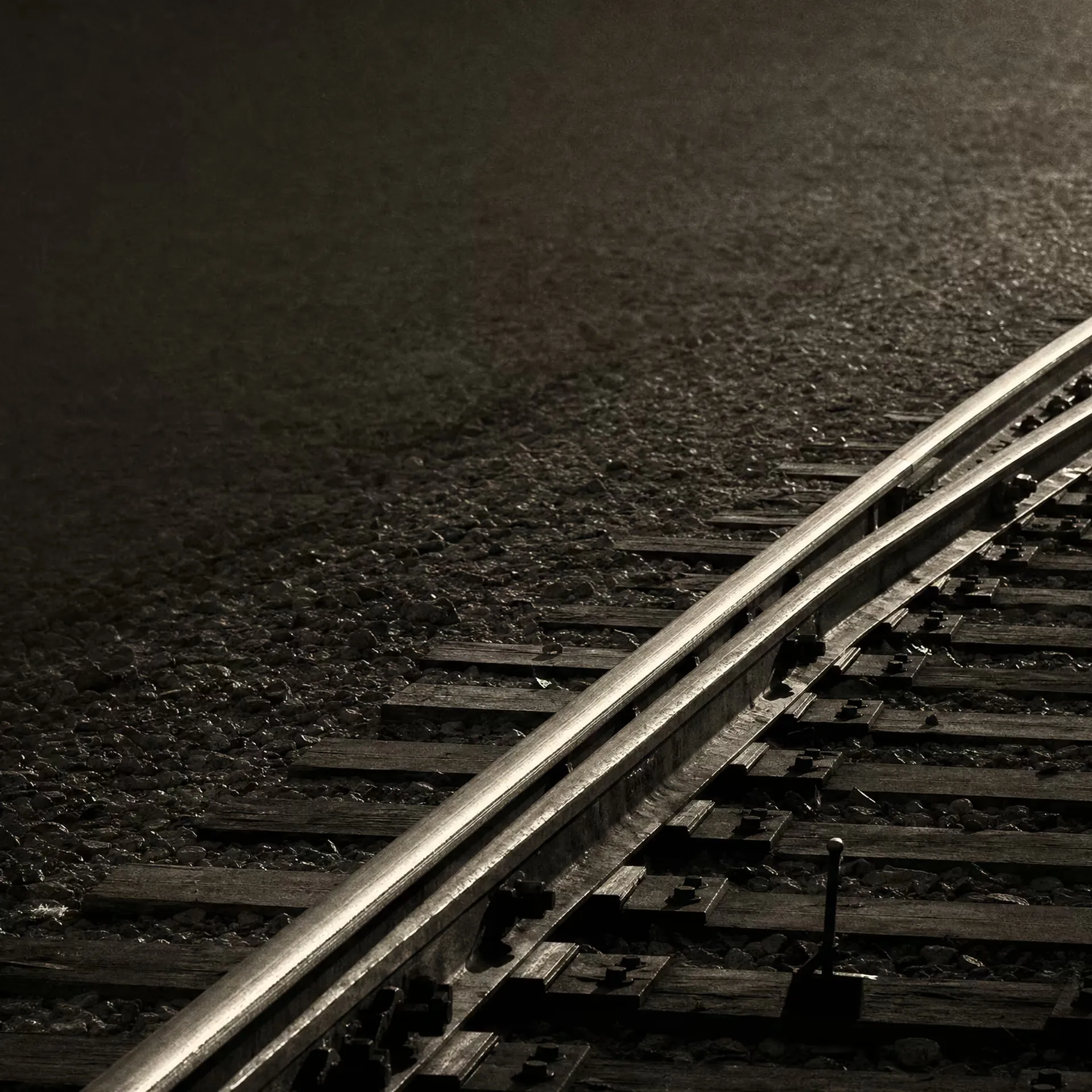 A railway switch where a single track diverges into two through a turnout, the rails catching grazing light in black and white.