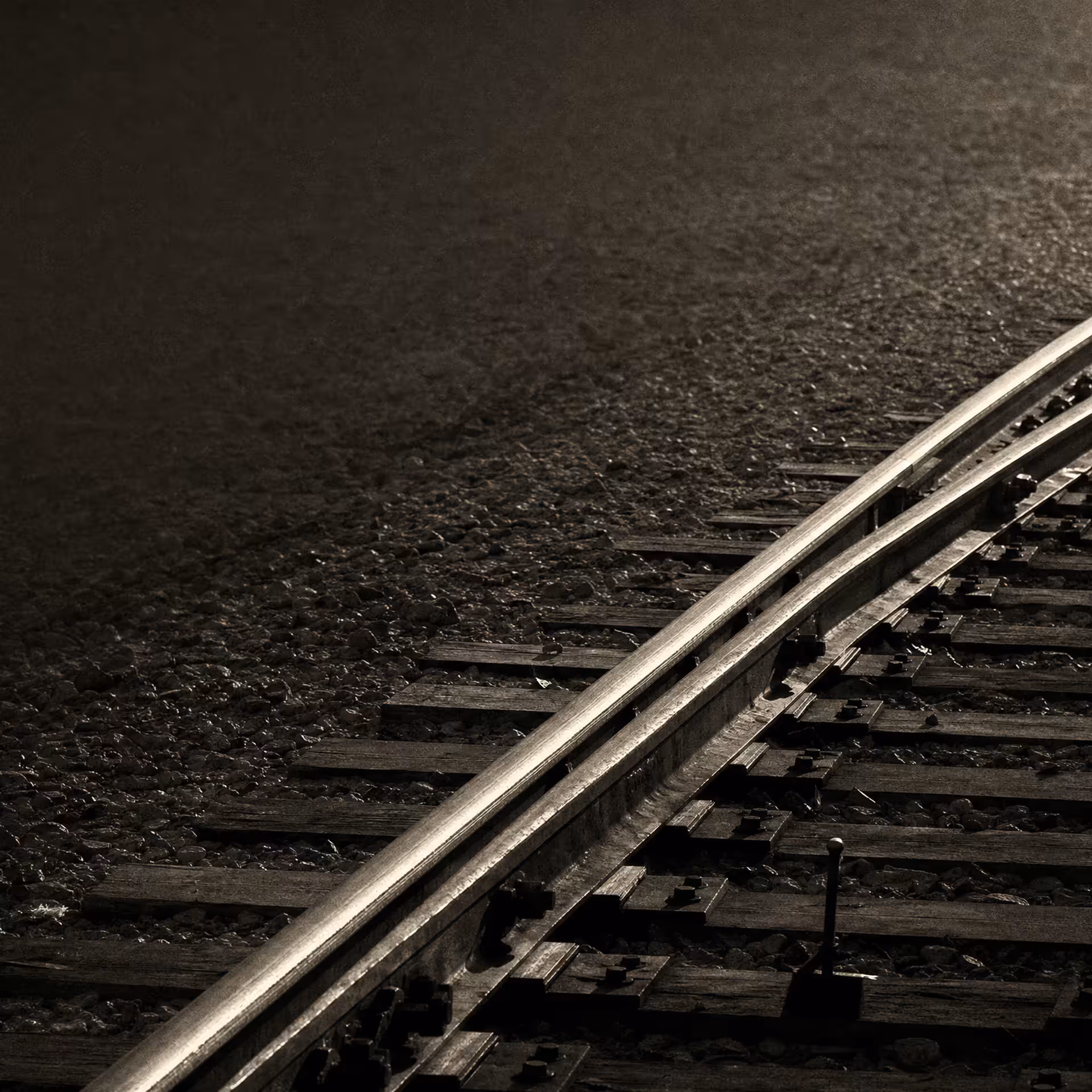 A railway switch where a single track diverges into two through a turnout, the rails catching grazing light in black and white.